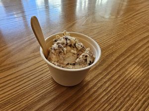 $6 single scoop, vegan peanut butter cookie dough at Duck Island Ice Cream in Wellington
