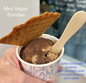 Salted Chocolate brownie, with PB shell and chocolate sprinkles  at Duck Island Ice Cream in Wellington