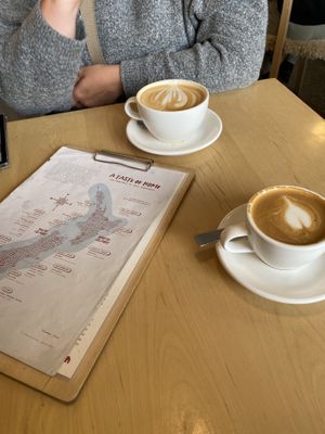   at Scroggin in Wanaka