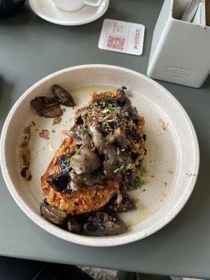   at Scroggin in Wanaka