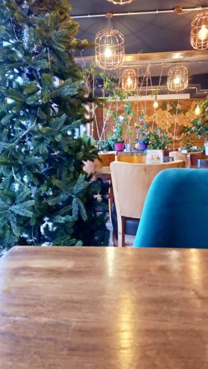 innen #Veganuary at Sen Vegan Cuisine - Moorenstraße in Dusseldorf