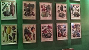 Veggie🥦🧅🌶️ at Veggie Beans and Shakes in Bogota