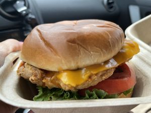 Spicy chicken  at Best of Both Souls in Charlotte