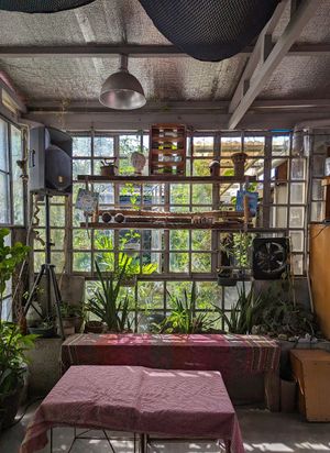  at Capri Island Bakery Cafe in Laguna