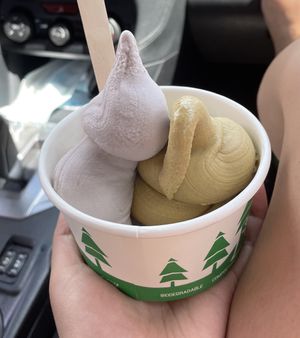 Strawberry and pumpkin soft-serve at Divine Treasures in Manchester