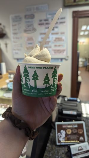  at Divine Treasures in Manchester