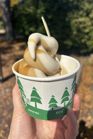 Pumpkin and maple twist ice cream with caramel sauce at Divine Treasures in Manchester