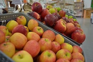 Fresh seasonal fruit at Simply Organic in Tauranga