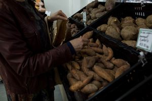 Fresh produce  at Simply Organic in Tauranga