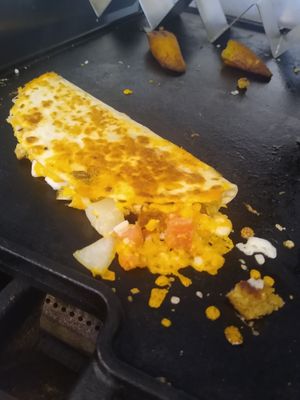 Vegan Quesadilla at The Good Life Food Company  in St Petersburg