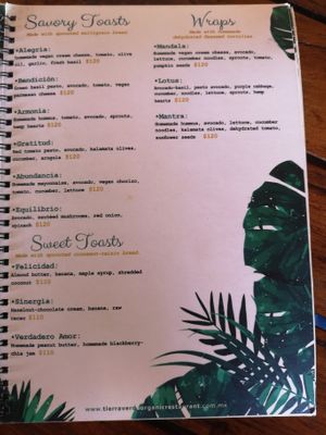 Speisekarte 3 at Tierra Verde in Mahahual
