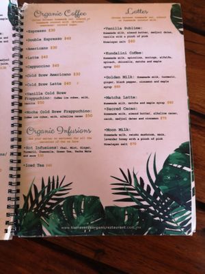 Speisekarte 8 at Tierra Verde in Mahahual