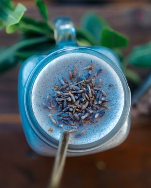 Blue Moon Milk at Tierra Verde in Mahahual