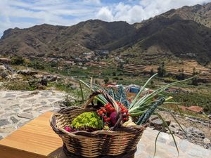 Our basket in front of the fantastic view from Karin's finca into the valley at Eco-Finca de Karin in Tenerife