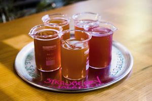 Try a 'flight' of our kombucha - pick your top 5 - It's always so hard to choose which ones! at Farmacy+Fermentary in Charlottetown