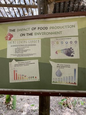 With important education at Themi Living Garden in Arusha