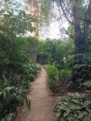 I love this place.im glad I can visit regularly at Themi Living Garden in Arusha