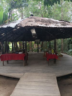  at Themi Living Garden in Arusha