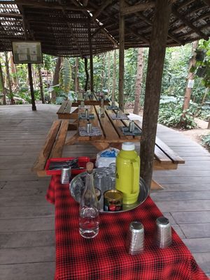  at Themi Living Garden in Arusha
