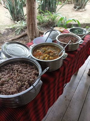  at Themi Living Garden in Arusha