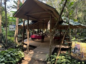   at Themi Living Garden in Arusha