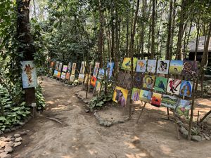   at Themi Living Garden in Arusha