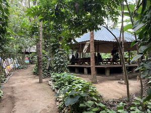   at Themi Living Garden in Arusha