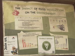   at Themi Living Garden in Arusha