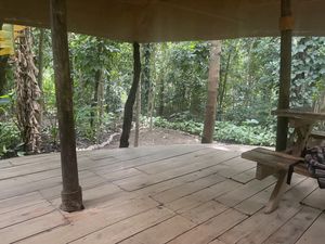   at Themi Living Garden in Arusha