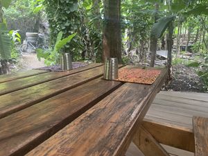   at Themi Living Garden in Arusha