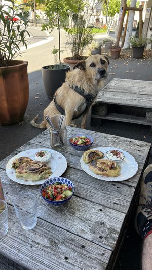   at Haus Wabi Sabi in Lachen