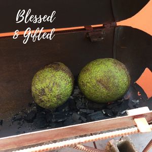 Enjoy roasted Breadfruit from our No Bone Zone Grill.  at Blessed And Gifted in Tower Isle