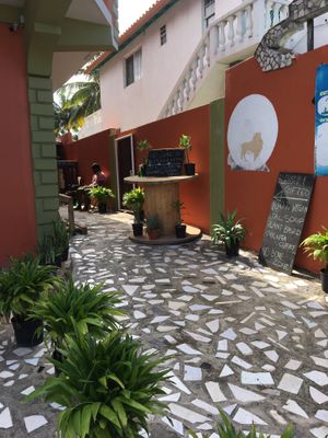 Entrance to our outdoor seating in the walled garden.  at Blessed And Gifted in Tower Isle