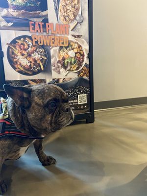 Plant powered at Copper Branch in Nashville