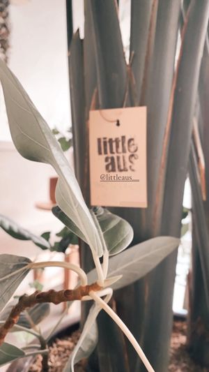 Lovely interior at Little Aus - 리틀오스 in Busan