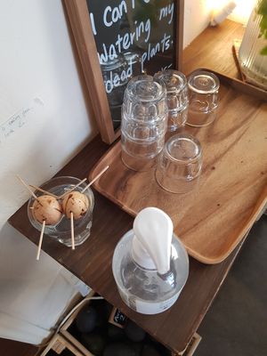 They're trying to grow avocados! Haha at Little Aus - 리틀오스 in Busan