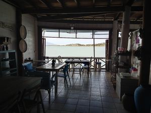 Peace at Tamachat Vegan Food - ธรรมชาติ in Koh Samui