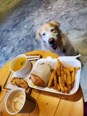 food at Whiskers N Paws in Hong Kong Island