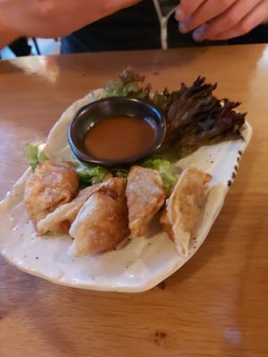 Vorspeise gyoza at Veggie Vu  in Cologne