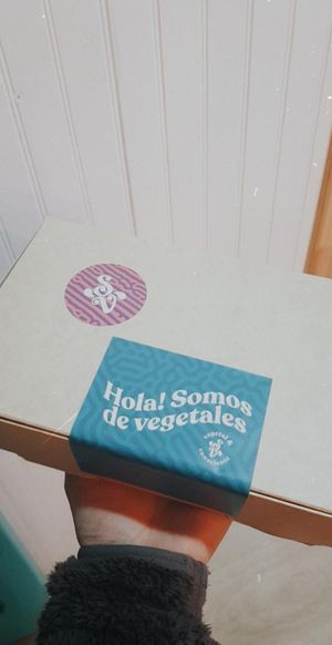 Delivery box at Sabor a Verde in Valdivia