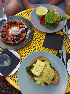  at Picnic Cafe in Hobart