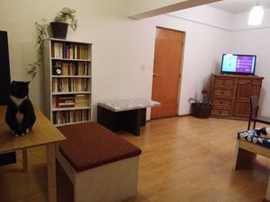 work station at Veganhouse in Mexico City