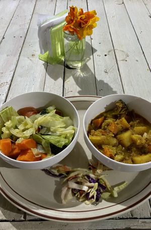 Curry with steamed vegetables  at Jammin Comunidad Vegana in Puerto Viejo De Talamanca