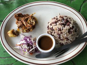 Ridiculous portion of jackfruit jerk with pinto (rice and beans) at Jammin Comunidad Vegana in Puerto Viejo De Talamanca