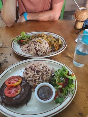  at Jammin Comunidad Vegana in Puerto Viejo De Talamanca