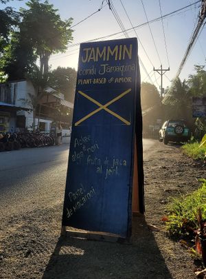 at Jammin Comunidad Vegana in Puerto Viejo De Talamanca