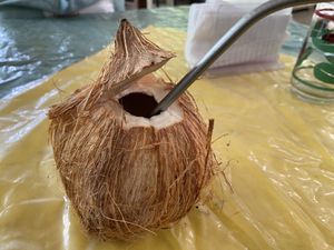 Cold Coco  at Jammin Comunidad Vegana in Puerto Viejo De Talamanca