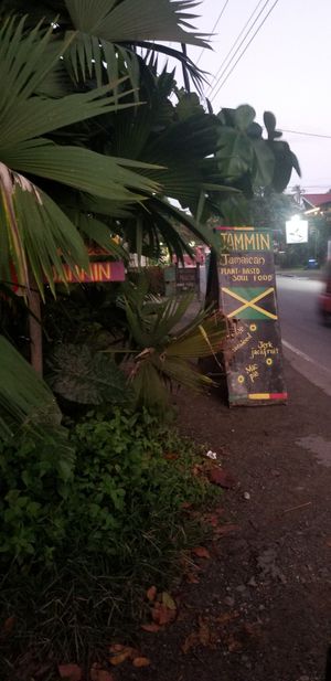  at Jammin Comunidad Vegana in Puerto Viejo De Talamanca