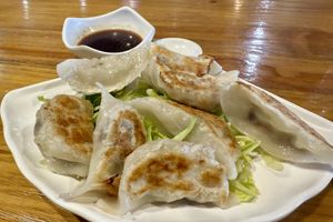 Pot stickers  at Veggie Village in Scottsdale