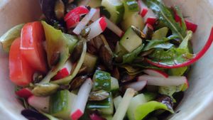 All the veggies, seeds and lettuce in the fresh salad at Beesechurgers in The Hague